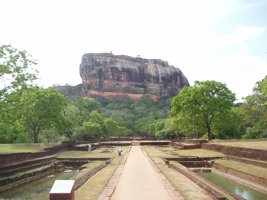 Strathisla Tea Estate Bungalow ماتالي المظهر الخارجي الصورة