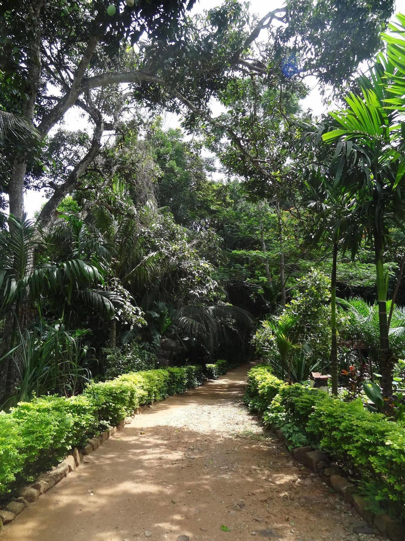 Strathisla Tea Estate Bungalow ماتالي المظهر الخارجي الصورة